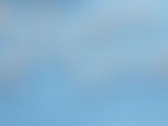 TEAMS VS.ZOOM VS.WEBEX.