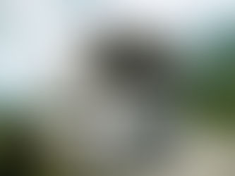 DEIN URLAUB IM LUXUS -CAMPER.