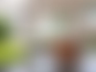 Balancing Natural and Artificial Light in Office Interiors