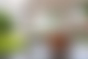 Balancing Natural and Artificial Light in Office Interiors