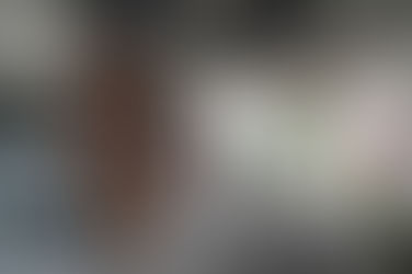 Biophilic Office Design: Integrating Nature in Modern Workspaces