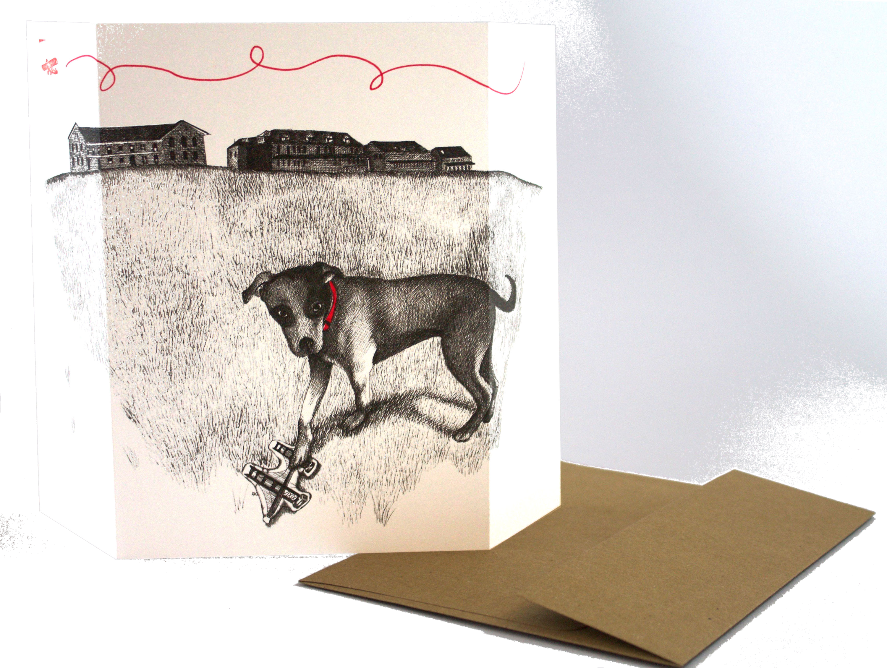 Dog & SF Presidio, blank card
