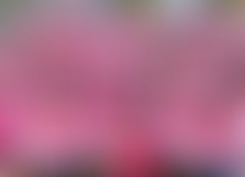 Octobre rose : La Lisca lance des consultations de dépistage du cancer du sein à Dakar