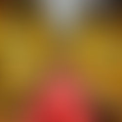 MISTRZOSTWA 19 DYWIZJI WP W JUDO