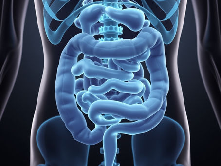 Más allá de la supervivencia: Cómo la Fisioterapia y el Pilates Clínico transforman la vida tras una Colostomía