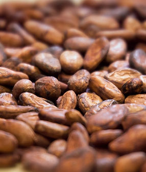 Cocoa_fotolarge.1c31ed.2e16d0ba.fill-2048x1024-c100.b0460a.jpg