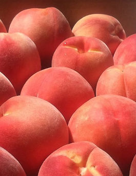 Pilates Reformer Genève