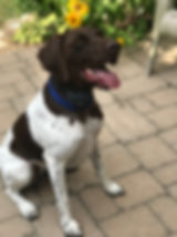IMG_5746.jpeg