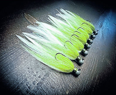 TN Shad_edited_edited_edited_edited.jpg