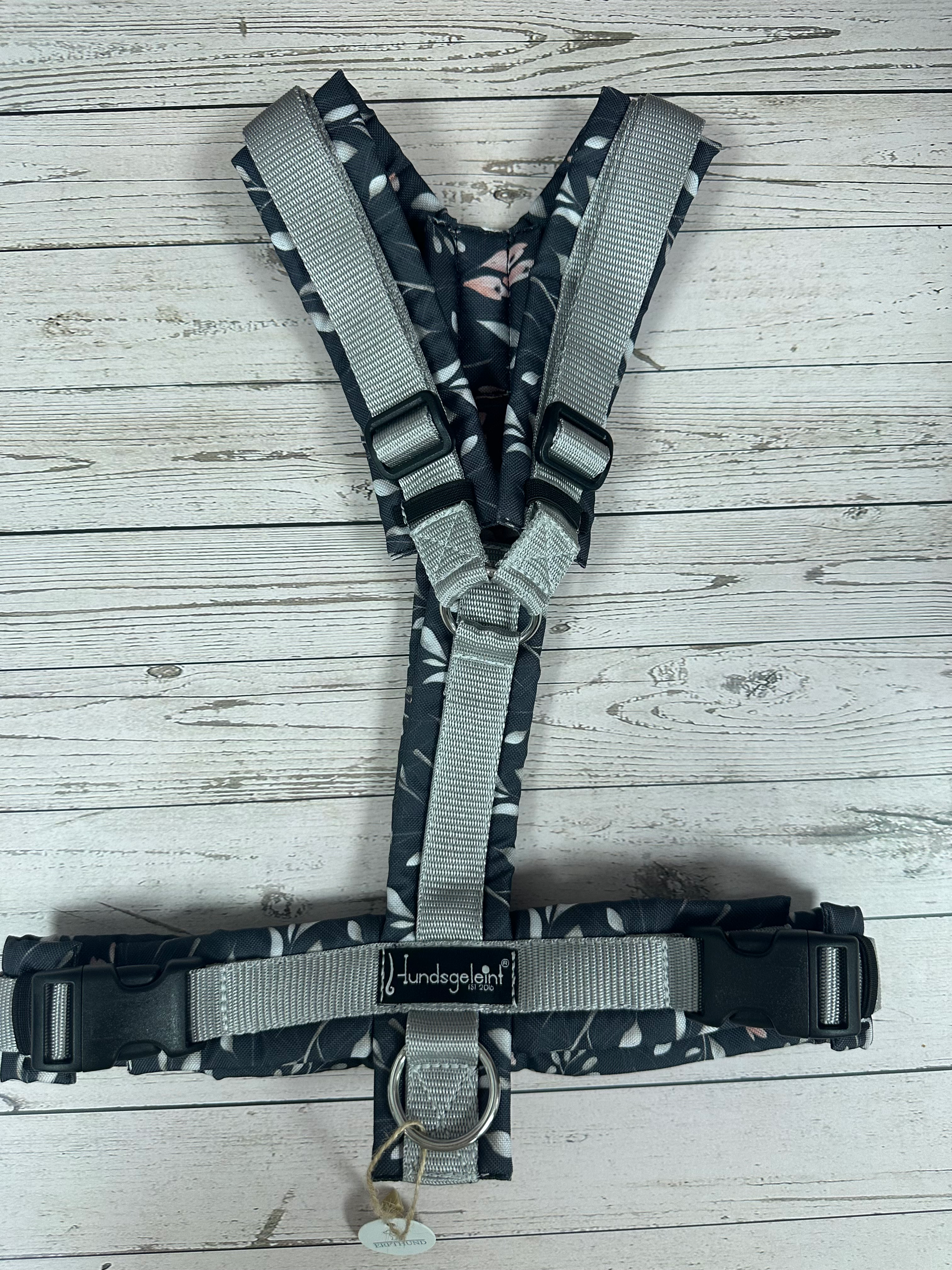 Geschirr Hundsgeleint