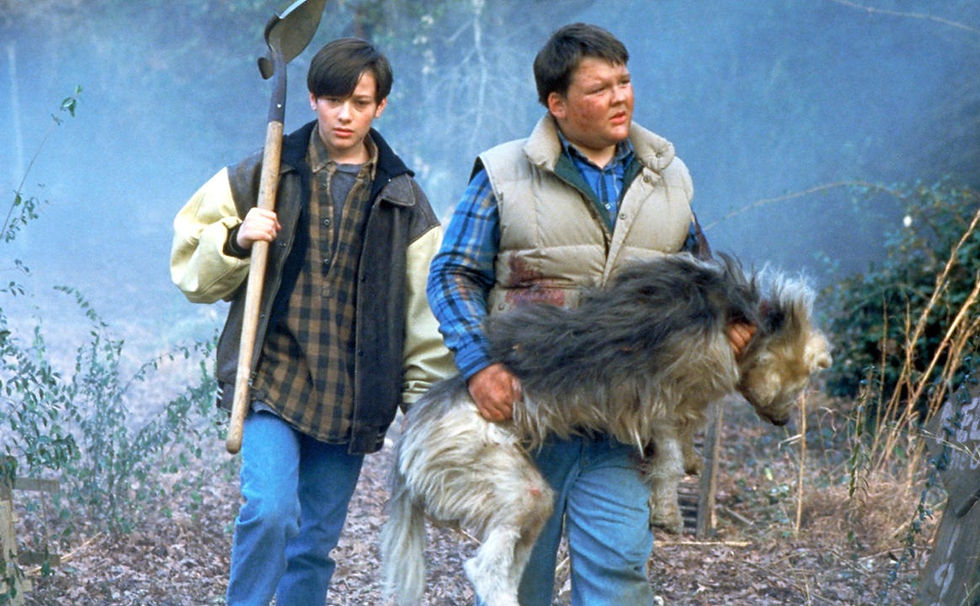 Pet Sematary Two Soundtrack vinyl Terror Vision