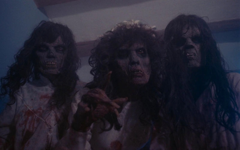 Revenge of the Living Dead Girls Severin Black Friday