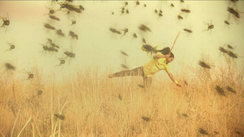 Tsunambee Review Milko Davis Wild Eye