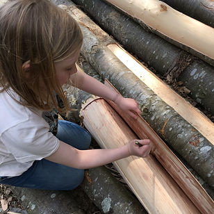 Bark Peeling