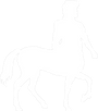 centauro bianco.png
