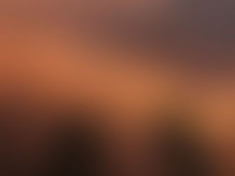 Catch your Experience