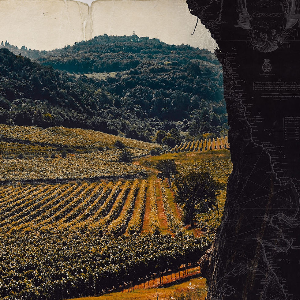 Thumbnail: The Ladies of Vicenza Hills