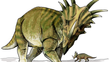 Styracosaurus