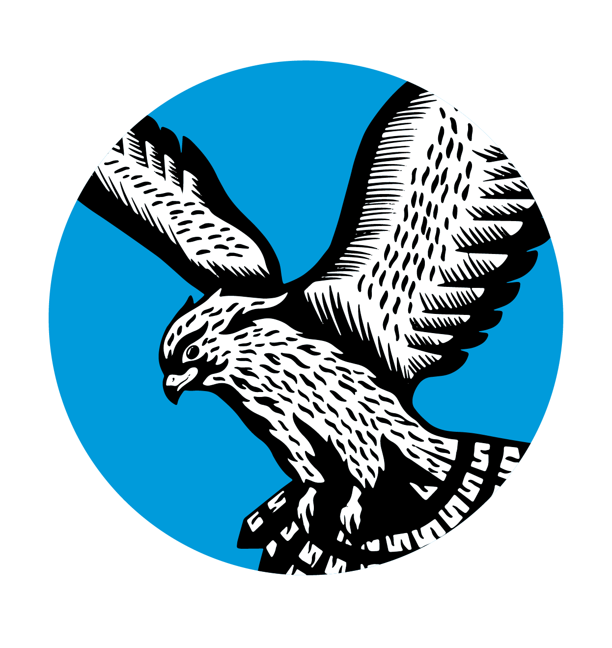 Synanagram Haggard Hawks