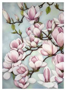 Magnolias