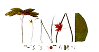 TINAD