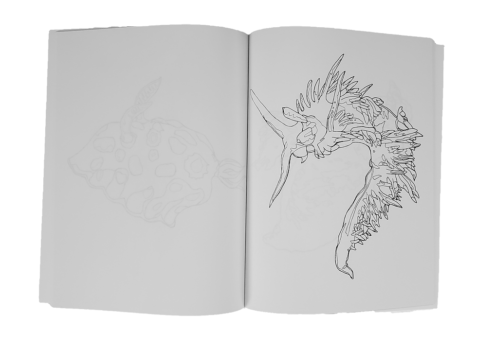 Thumbnail: Sultry Sea Slugs: Coloring Book