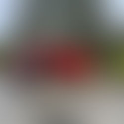 27.03.2026 - Unwetter (Sturm)