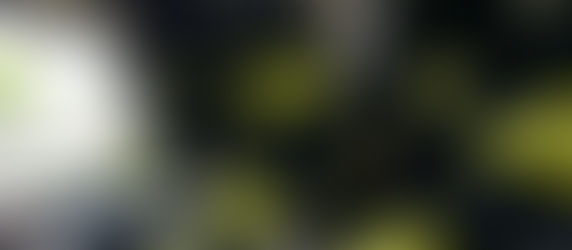 23.08.2025: ÜBUNGS-SAMSTAG!