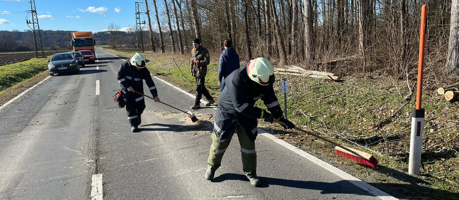 04.02.2023 - T1 Baum blockiert Straße