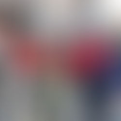 17.02.2026 - Sicherungsdienst beim Grosspetersdorfer Faschingsumzug!