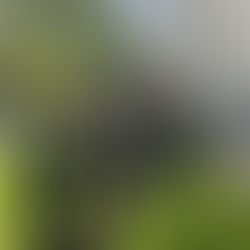 10. - 13.07.2026 - Storchparty - Übung - Einsatz - Kindersommer