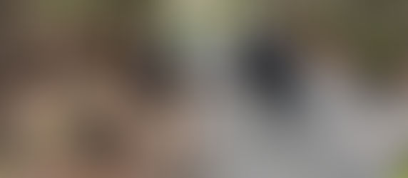 30.03.2024 bis 01.04.2024 – Einsatzmonitor in Kurfassung