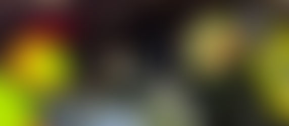 25.03.2026 - T1 Fahrzeugbergung in Burg