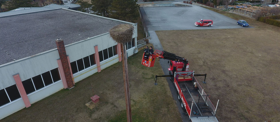 18.03.2022 - Storchennest