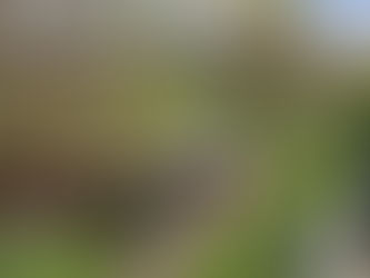 05.04.2025 - T1 Fahrzeugbergung