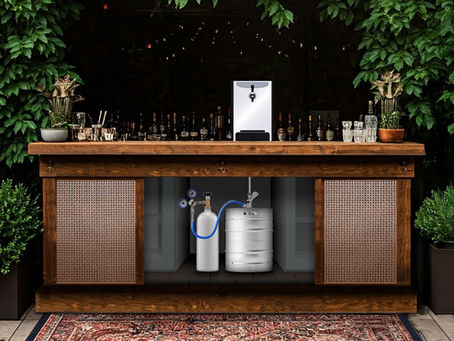 Hoshizaki DBF Countertop Beer/Wine Tap System Australia – Compact Draft for Small Venues