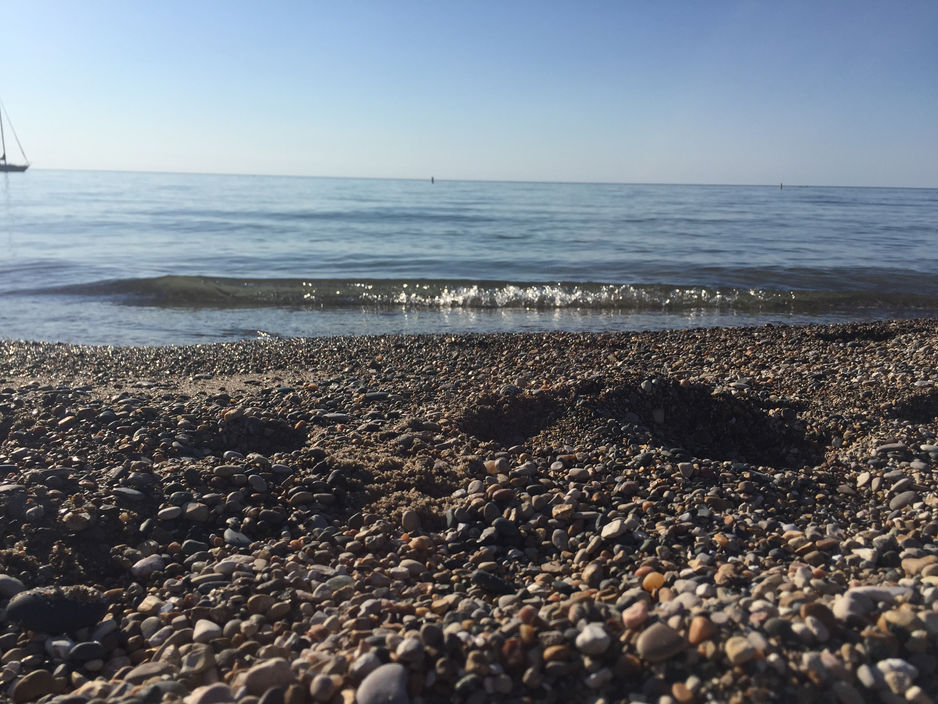 Ontario... Yours to Discover!