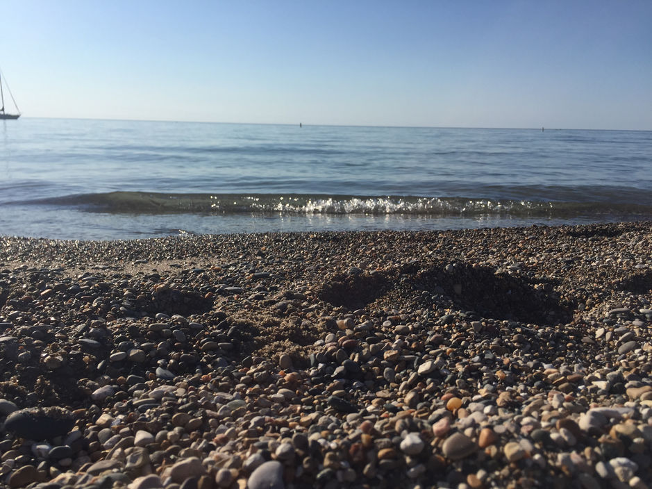 Ontario... Yours to Discover!