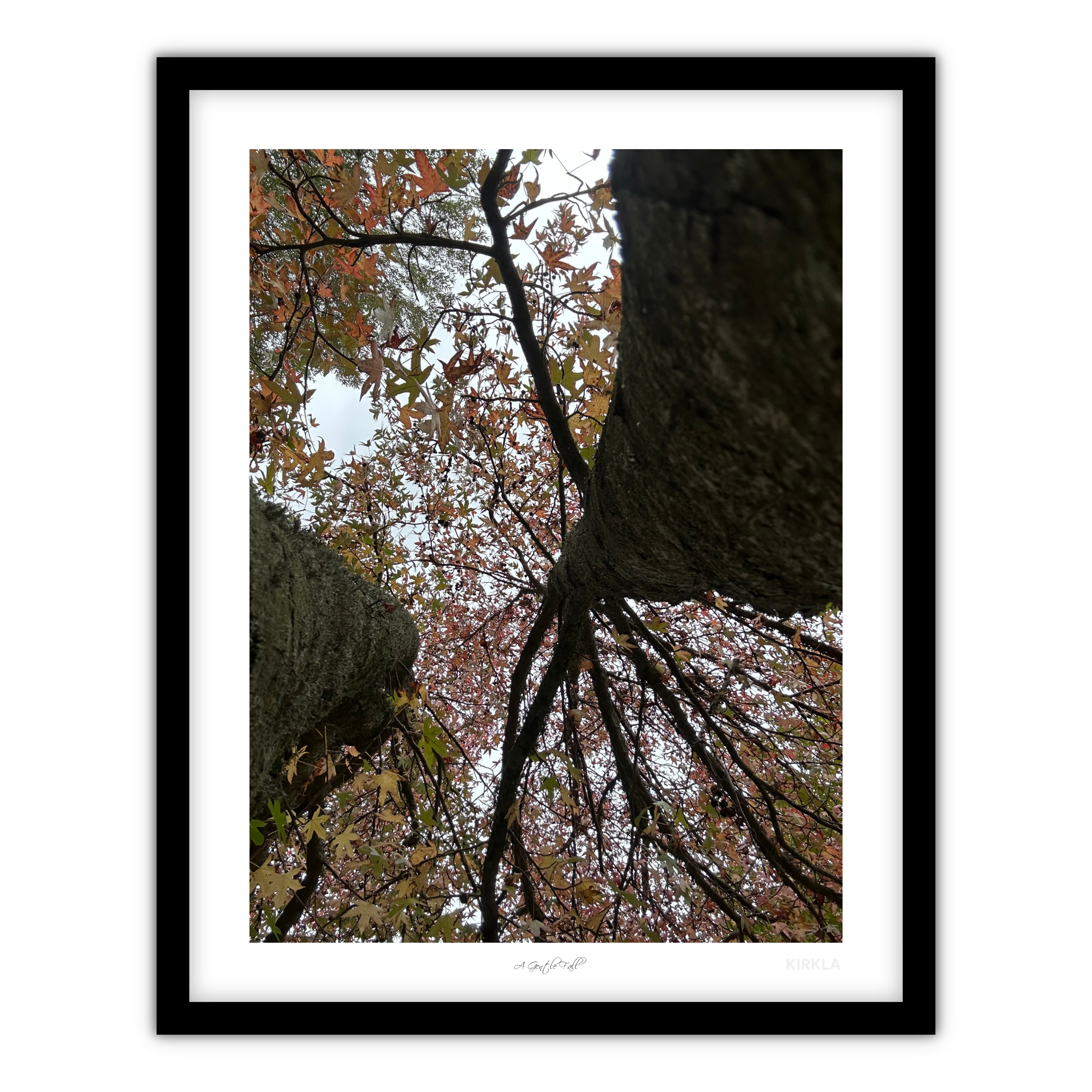 A Gentle Fall Art Print by Hope Framed