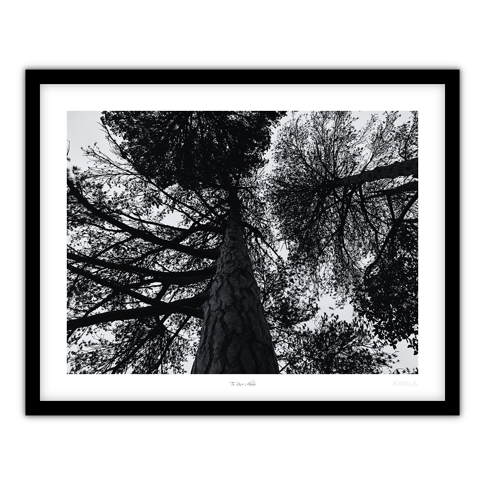 To Rise Above Art Print Framed