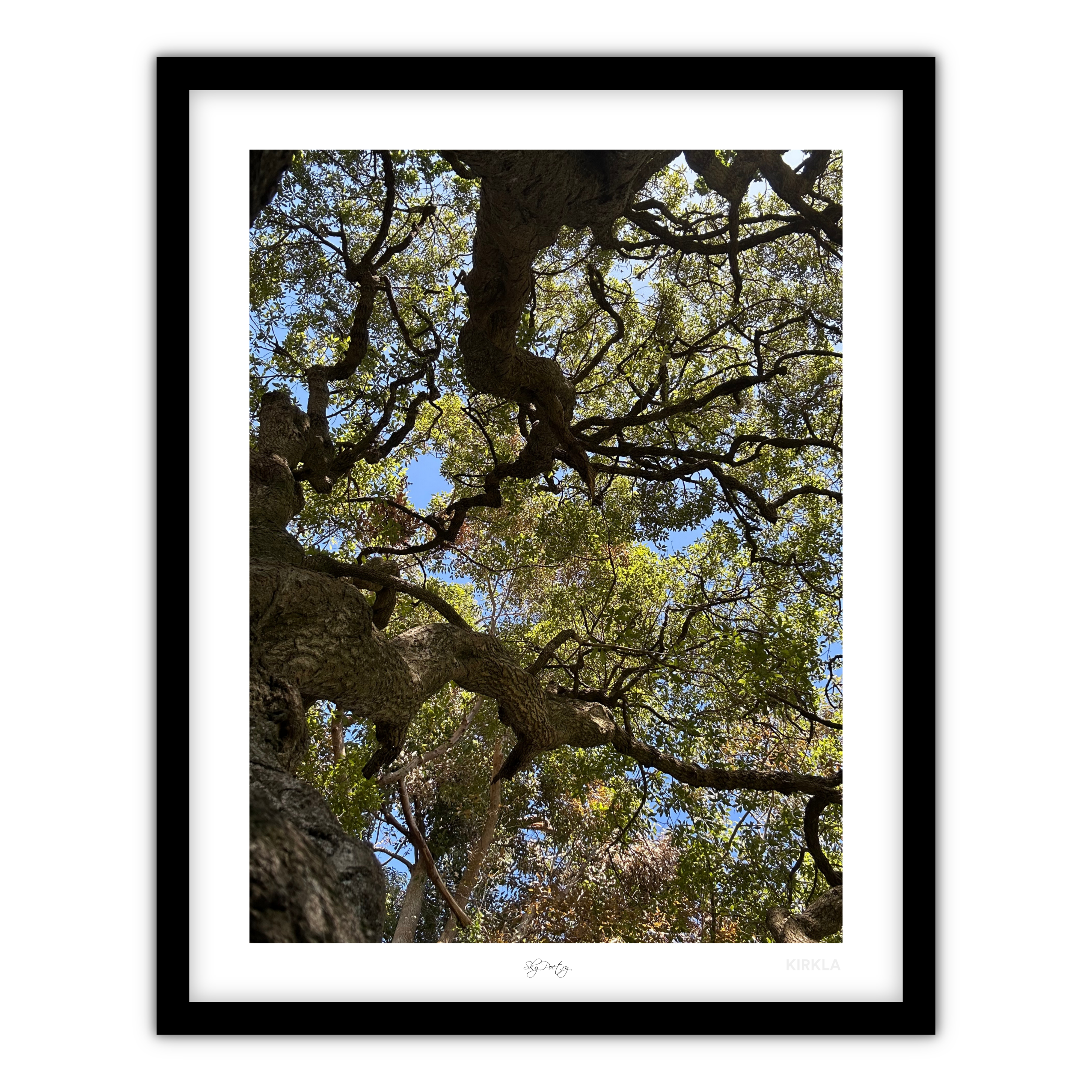 Sky poetry Art Print by Hope Framed