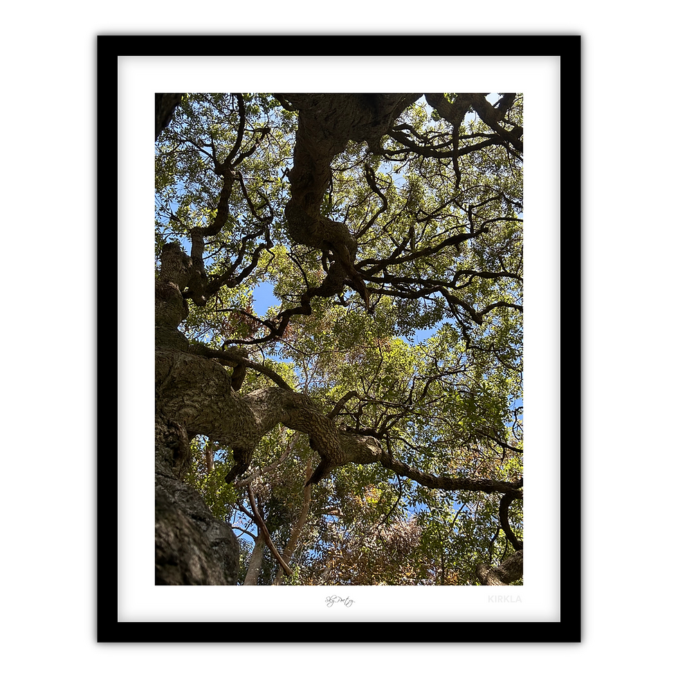 Sky poetry Art Print by Hope Framed