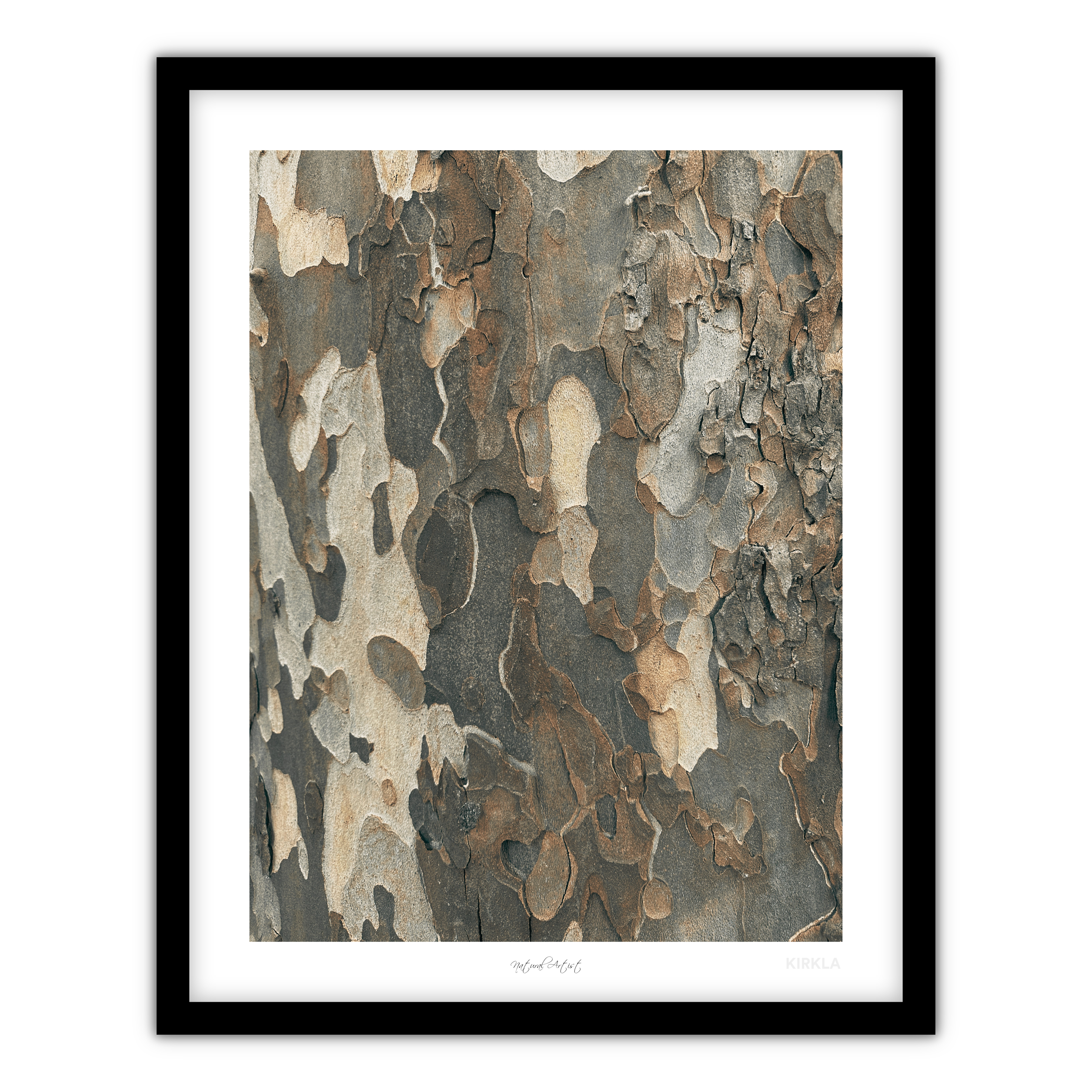 Natural Artist Art Print Framed