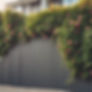 wide solid fence with climbing plants in a modern garden.jpg