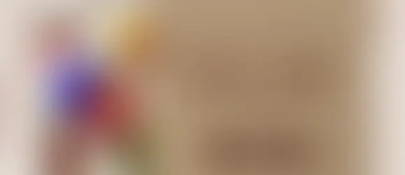 Intricacies of Pure Mysore Silk Sarees: Images and Price Insights