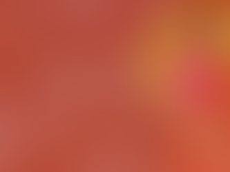 Pure Banarasi Silk Sarees - Facts You Didn't Know