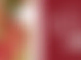 Patola Sarees: Price Ranges and Designs for the Connoisseur
