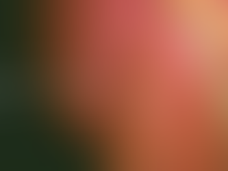 Grace Woven in Gold: The Legacy of Pure Mysore Silk Sarees