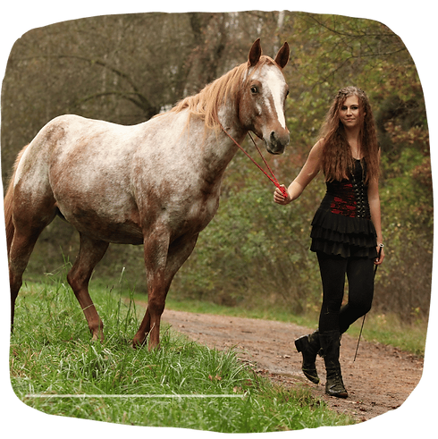 Participants engaging with horses during an equine therapy session.