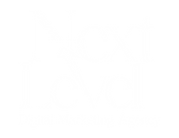 Next Level digital marketing agency logo